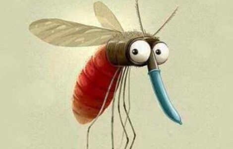 蚊子 (247).jpg