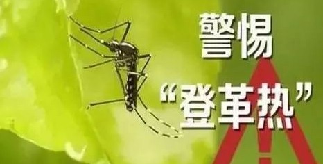 深圳杀虫公司如何灭蚊子 (83).jpeg